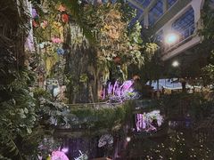 -正佳雨林生态植物园