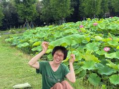 -嘉北郊野公园