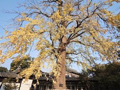 -常熟方塔园