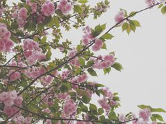 -白鹭湾湿地公园