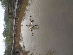 -驿舍·民國老营房院子私房菜(科学会堂店)