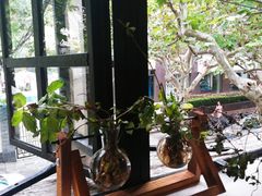 -Apollo·西班牙小酒馆(安福路店)