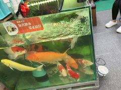 -老姐石板烧烤+铜炭火锅(总店)