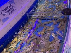 -澜悦港海鲜体验主题餐厅