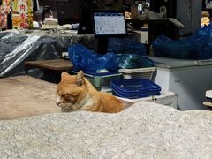 -三角地菜市场(吉祥路店)