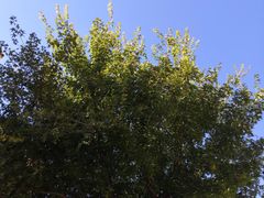 -京津佛罗伦萨小镇