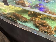 -王庄阿咪海鲜大排档(象园店)