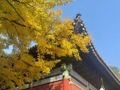 -红螺寺
