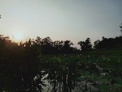 -两河城市森林公园