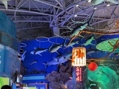 -烟台海昌鲸鲨海洋公园