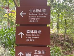 -广州市流溪河国家森林公园