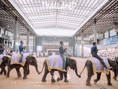 -东芭乐园