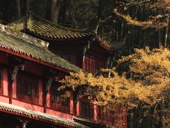 -青城山