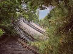 -潭柘寺景区