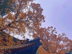 -香山公园