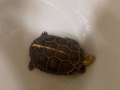 -九忠祥小笼馆(保利时光里店)