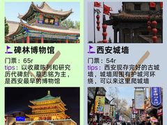 -秦始皇帝陵博物院(兵马俑)