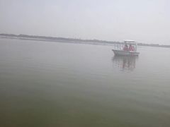 -瑶湖郊野森林公园