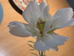 -麓椿花园西餐厅(海乐世界店)