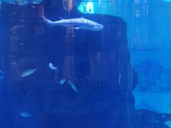 -鸿通城购物中心