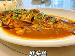-张氏鱼庄