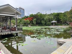 -攀枝花公园