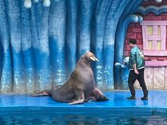 -华夏文旅海洋公园