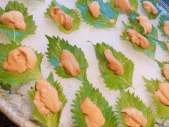 -金汇四季广场