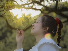 -南山植物园