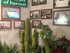 -好伦哥比萨烤肉自助(八里桥店)