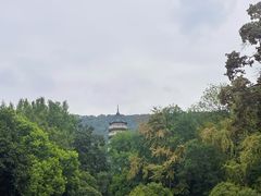 -灵谷景区