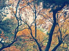 -长辛店二七公园