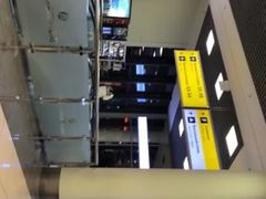 -谢列梅捷沃国际机场