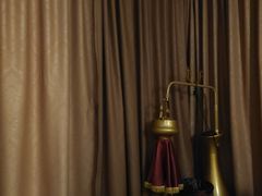 -净耳阁采耳文化体验馆(华强北店)