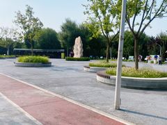 -绿堤公园