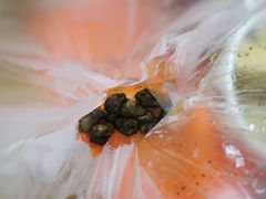 -王记西鎮电烤肉(汶上路店)