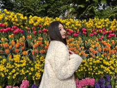 -库肯霍夫公园