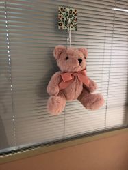 -杭州贝瑞斯美华妇儿医院·早孕·产检·儿科