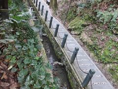 -十八棵（老龙井）御茶园(老龙井店)