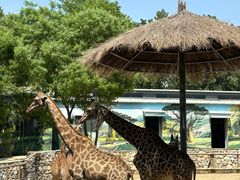 -北京野生动物园