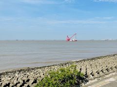 -上海滨江森林公园