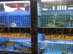 -天禧(西溪店)