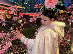 -白家大院·王府宫廷菜(苏州街店)
