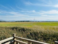 -野鸭湖国家湿地公园