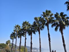 -东钱湖旅游度假区