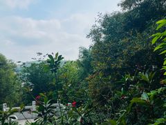 -顺峰山公园