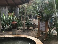 -陆地游轮吉林神农温泉