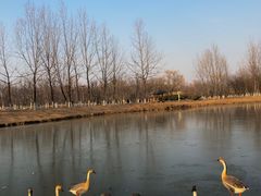 -西安浐灞国家湿地公园