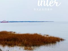 -奉贤海滩