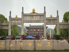 -庐山风景名胜区-东林大佛